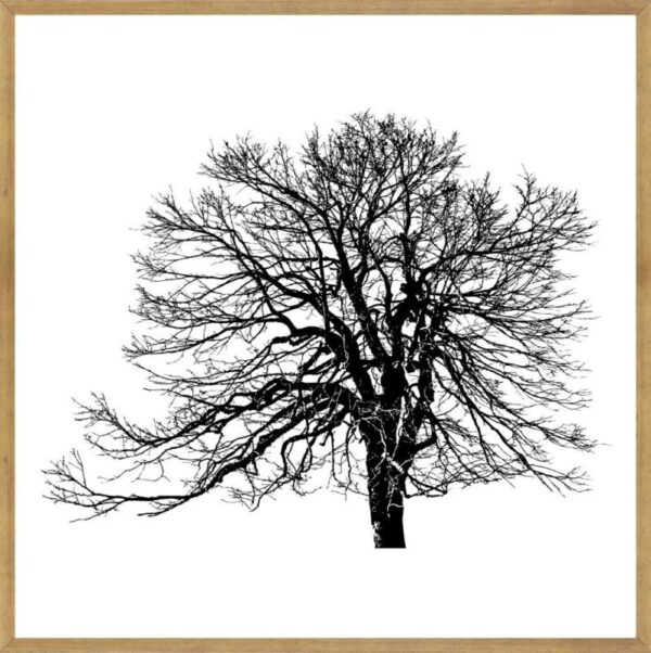Quadro Paisagens C/ Vidro 63x63cm - Top Art - 2.4 - SR
