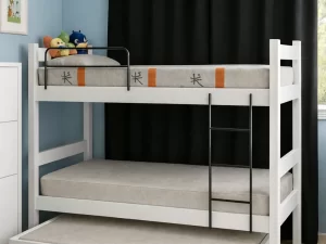 Beliche Sonia c/ Auxiliar Bia – PRIMOART/CIMOL – 6.2/TRA